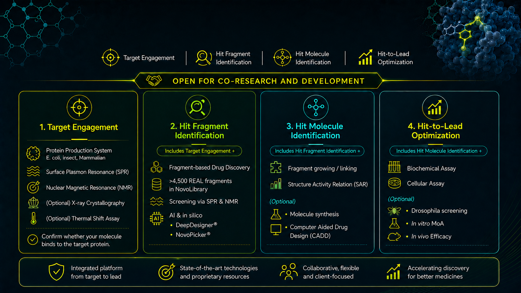 Service capabilities co-research and development visual